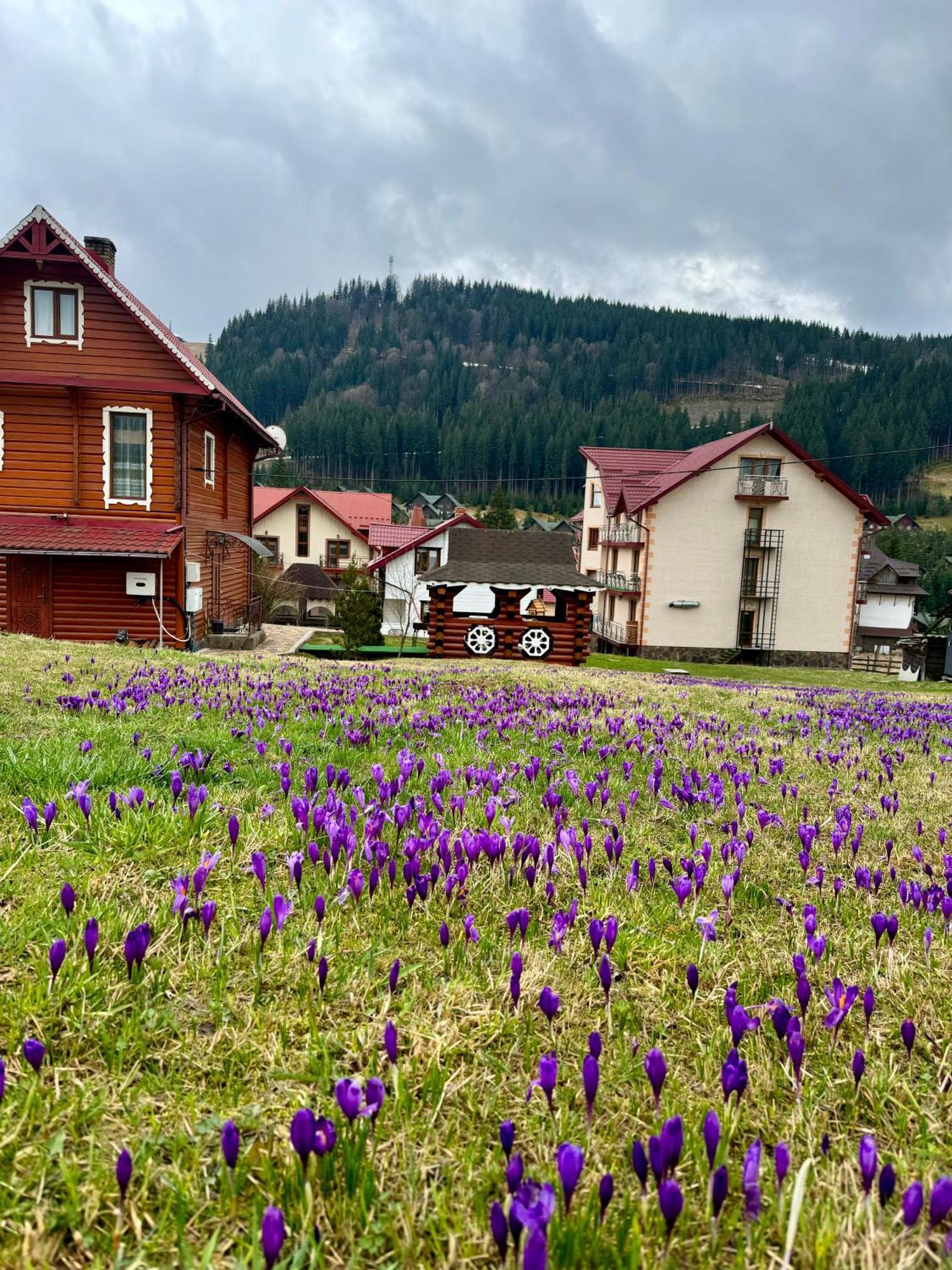 Sadyba U Halyny Sunrise Bukowel Exterior foto